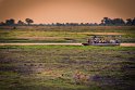 025 Botswana, Chobe NP, leeuwen